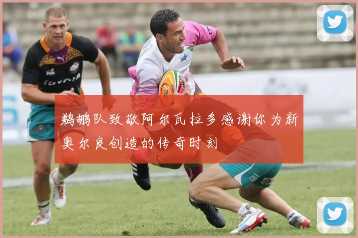 鹈鹕队致敬阿尔瓦拉多感谢你为新奥尔良创造的传奇时刻