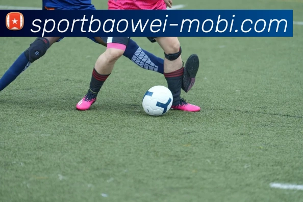 战术演练