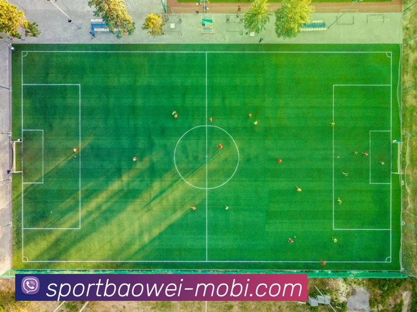 宝威体育APP 封面图